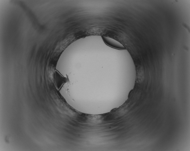 X0000103230334200809111535