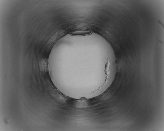 X0000103230335200809111535