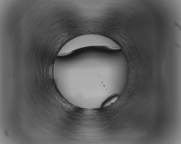 X0000103230336200809111535