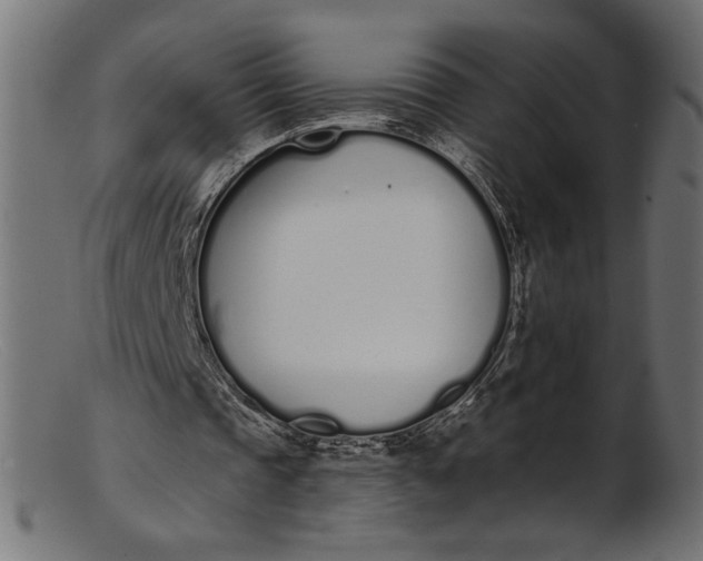 X0000103230337200809111535