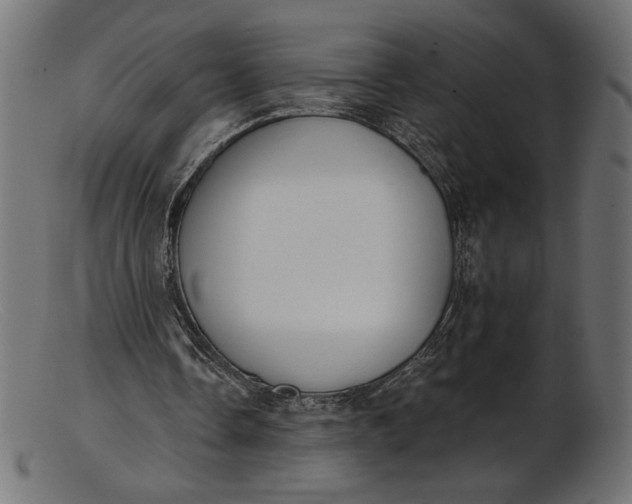 X0000103230338200809111535