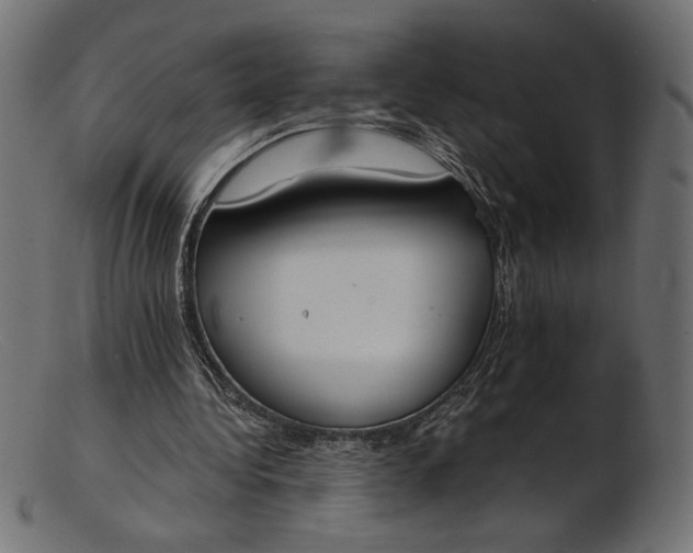 X0000103230340200809111535