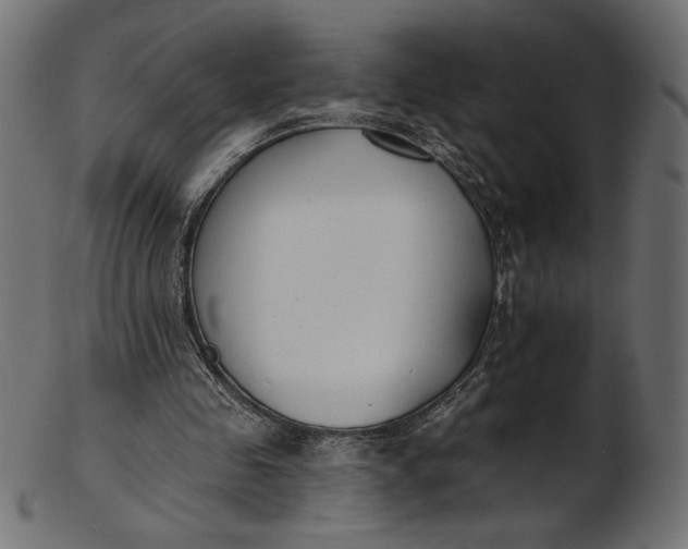 X0000103230341200809111535