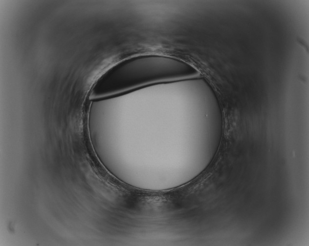 X0000103230344200809111535