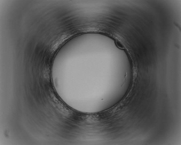 X0000103230345200809111535