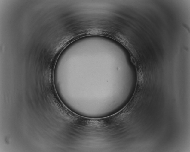 X0000103230347200809111535