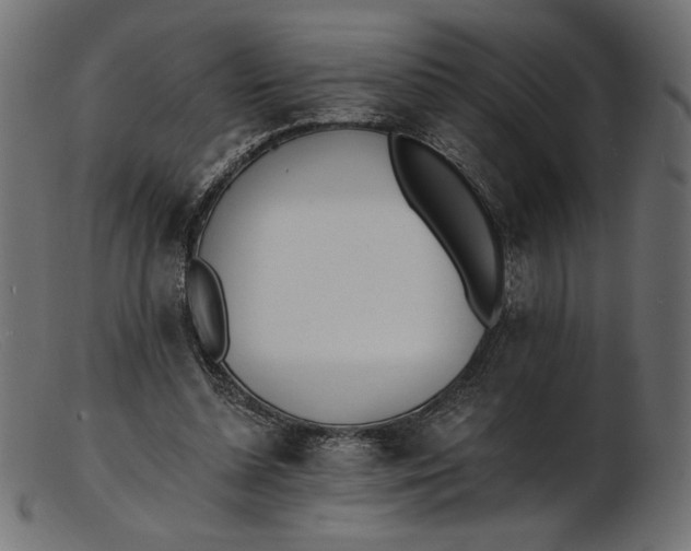 X0000103230348200809111535