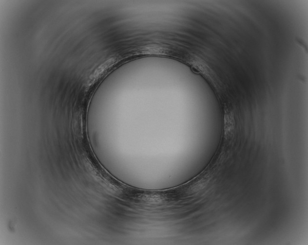 X0000103230349200809111535
