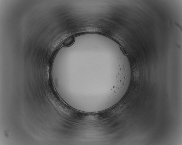 X0000103230350200809111535