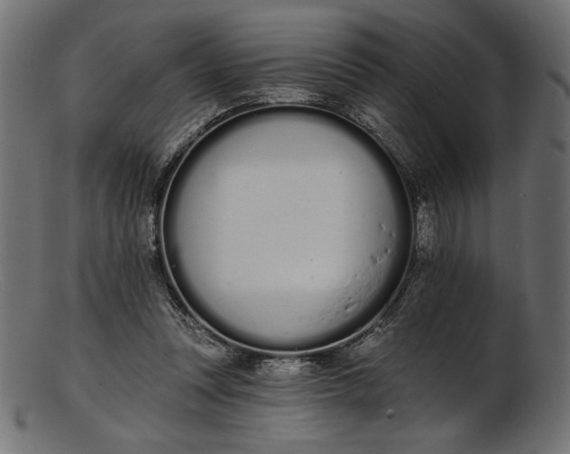X0000103230351200809111535