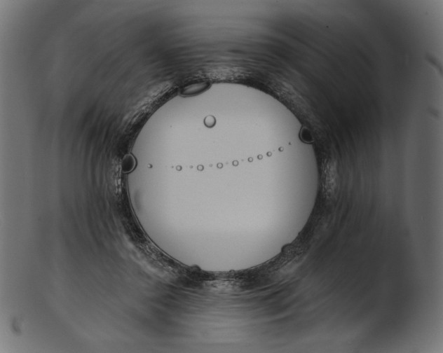 X0000103230356200809111535