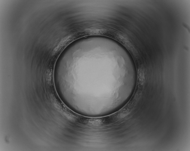 X0000103230357200809111535