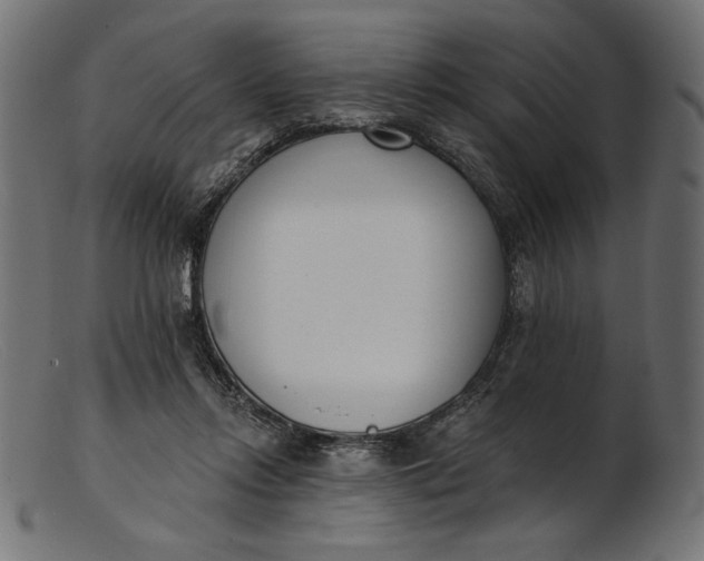 X0000103230358200809111535