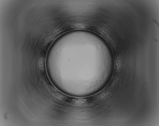 X0000103230359200809111535