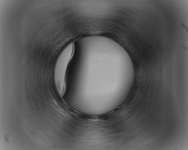 X0000103230360200809111535