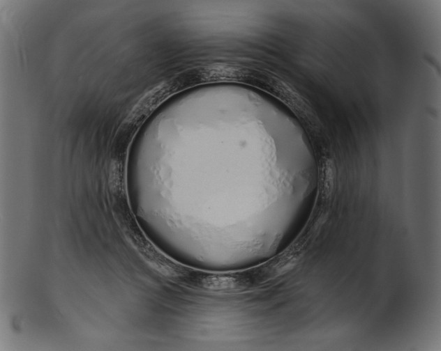 X0000103230361200809111535