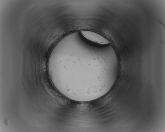 X0000103230362200809111535