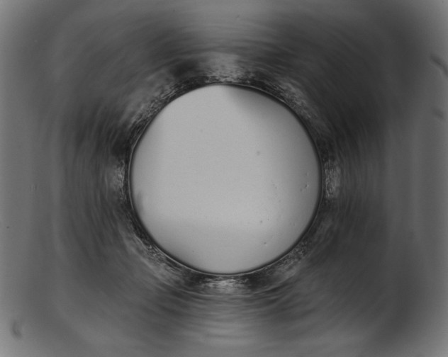 X0000103230365200809111535