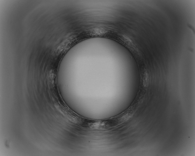 X0000103230366200809111535
