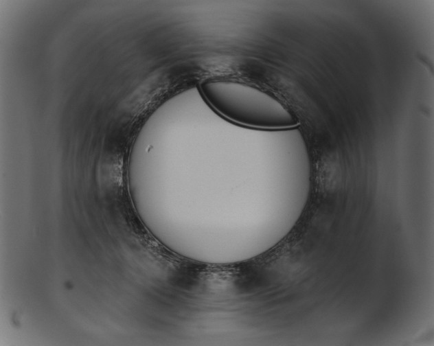 X0000103230368200809111535