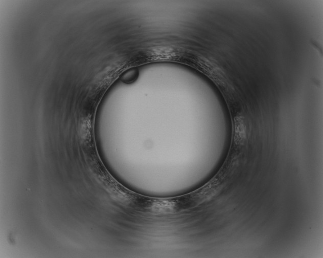X0000103230369200809111535