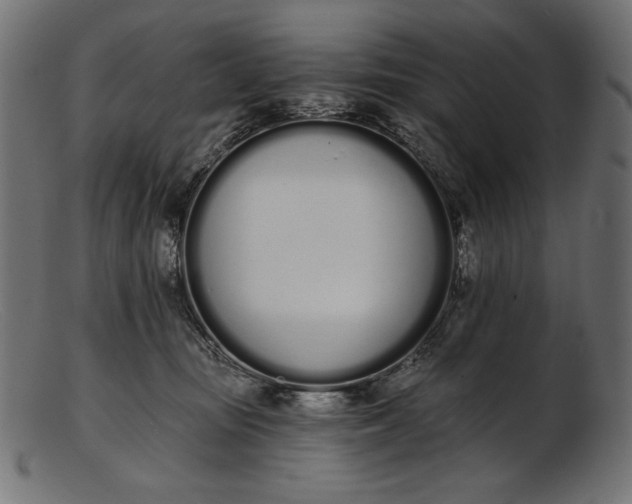 X0000103230371200809111535