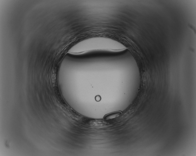 X0000103230372200809111535