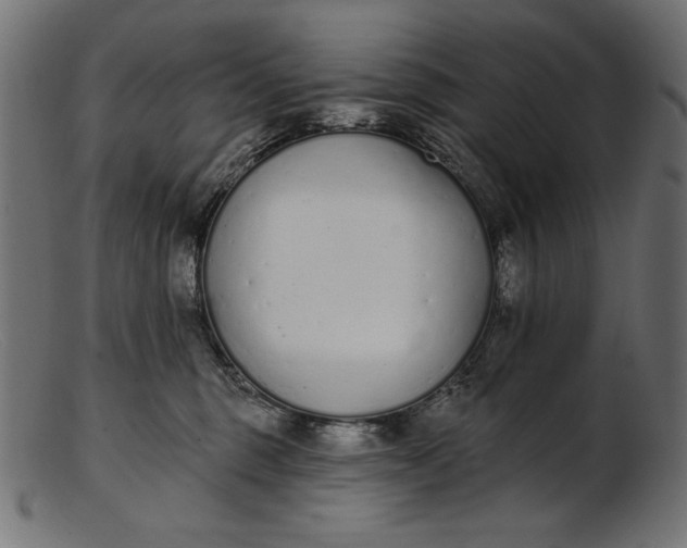 X0000103230375200809111535