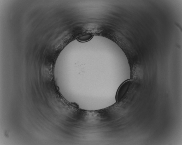 X0000103230376200809111535
