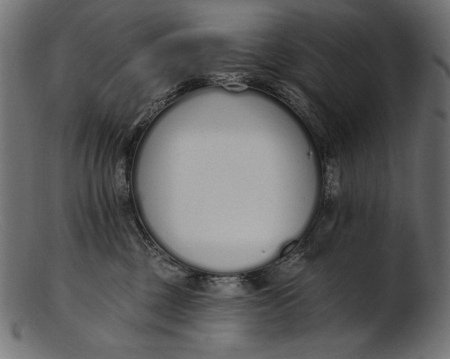 X0000103230377200809111535