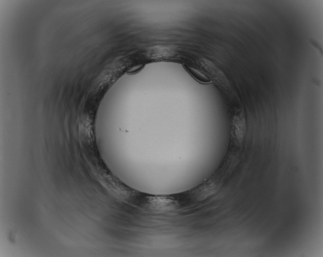 X0000103230380200809111535
