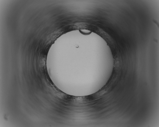 X0000103230382200809111535