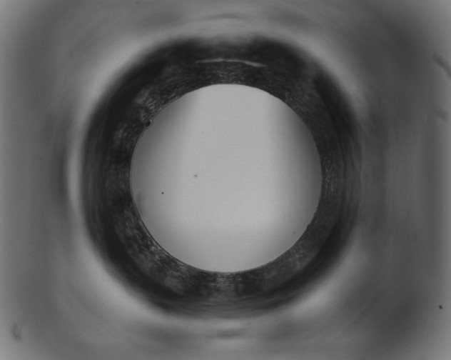 X0000103230383200809111535