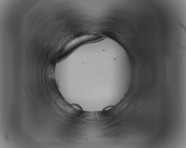 X0000103230384200809111535