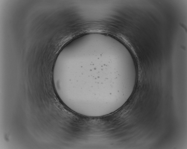 X0000103230385200809111535