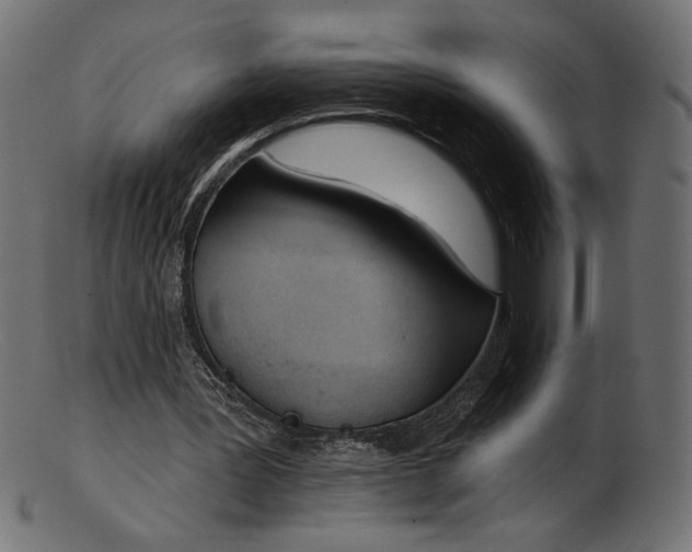 X0000103230387200809111534