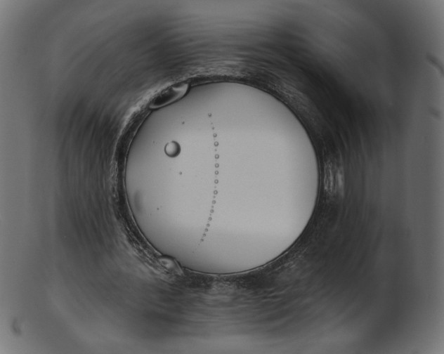 X0000103230388200809111534