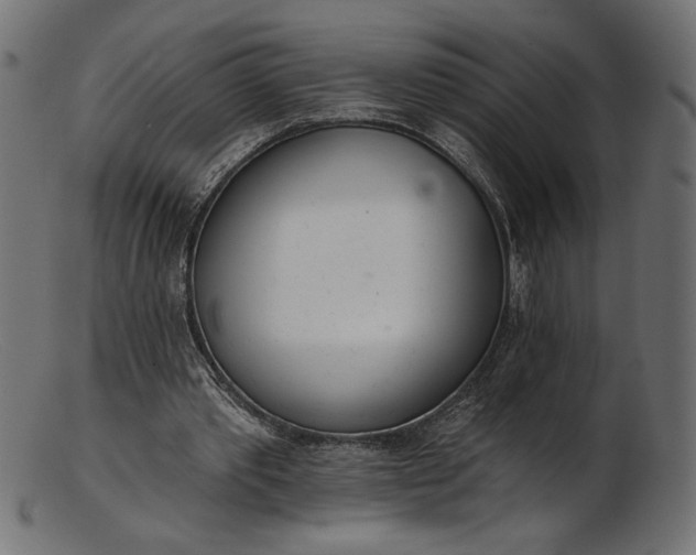 X0000103230389200809111534