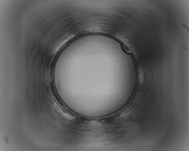 X0000103230390200809111534