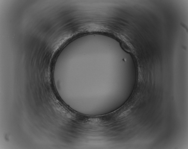 X0000103230391200809111534