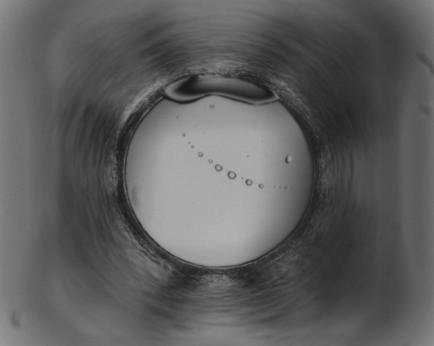 X0000103230392200809111534