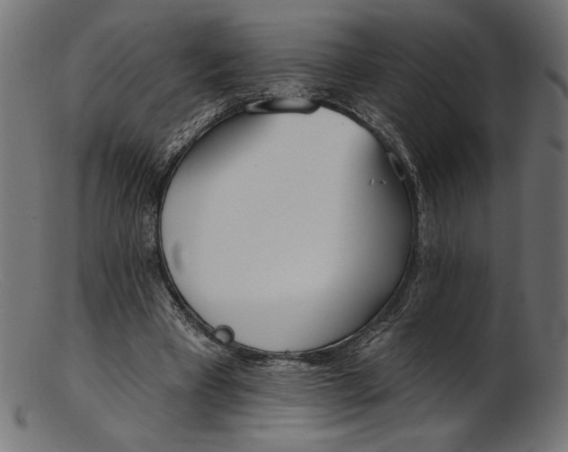 X0000103230393200809111534