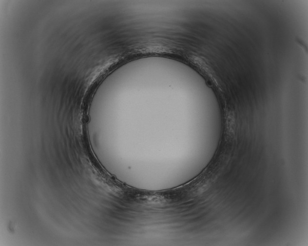 X0000103230395200809111534