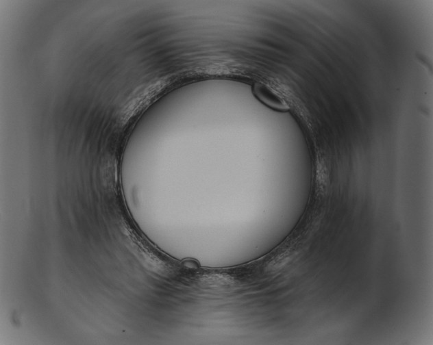 X0000103230397200809111534