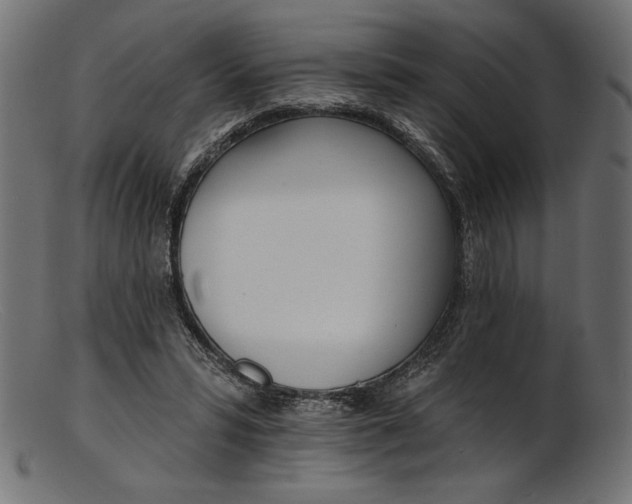 X0000103230399200809111534