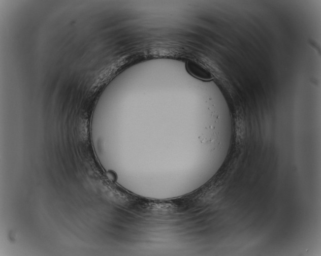 X0000103230401200809111534