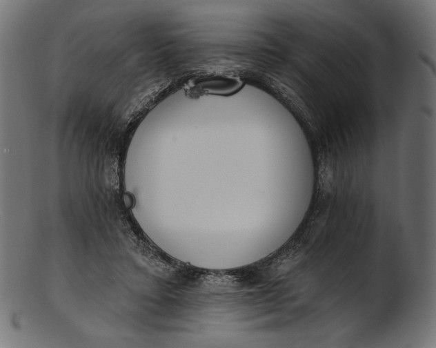X0000103230403200809111534