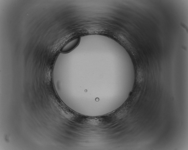 X0000103230405200809111534