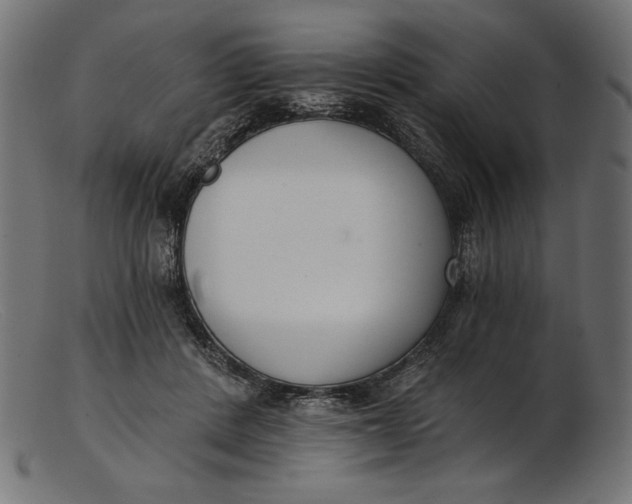 X0000103230408200809111534