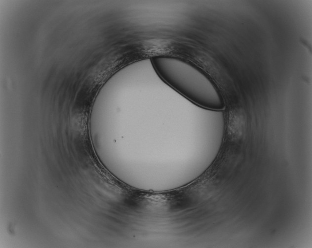 X0000103230409200809111534